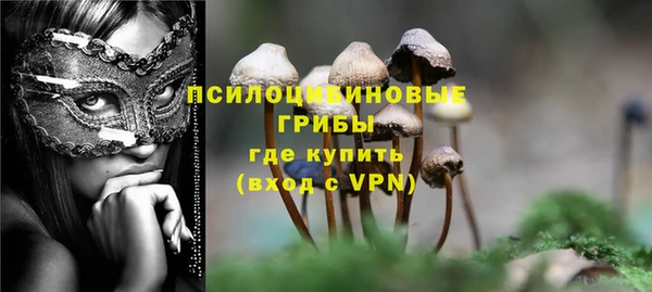 таблы Армянск