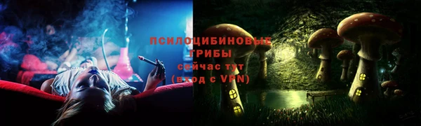 таблы Алзамай
