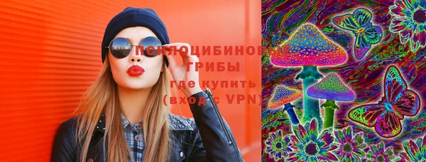 дмт Алексин