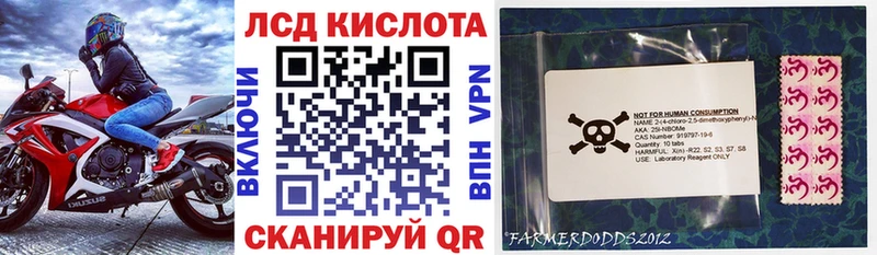 Наркотические марки 1500мкг Курлово