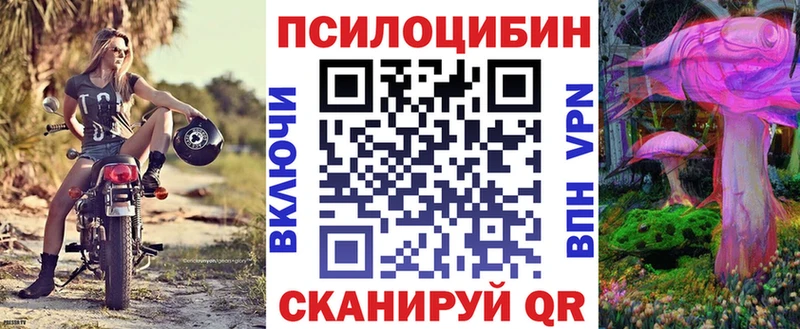 купить закладку  Курлово  Галлюциногенные грибы MAGIC MUSHROOMS 